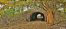 Betiha Nature Reserve – Majrase