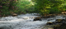 Snir Stream Nature Reserve