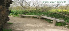Taninim Stream Nature Reserve