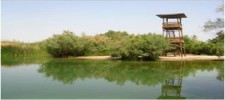 Enot Tsukim Nature Reserve