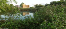 En Afek Nature Reserve