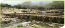 En Hemed National Park