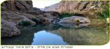 Wadi Prat Nature Reserve – En Prat
