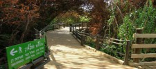 Tel Dan Nature Reserve