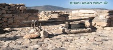 Tel Hazor National Park
