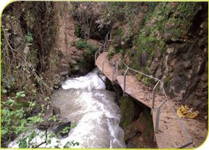 Hermon Stream (Banias) Nature Reserve – Springs area