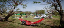 Akhziv Campsite