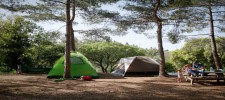 Mishmar HaCarmel Campsite