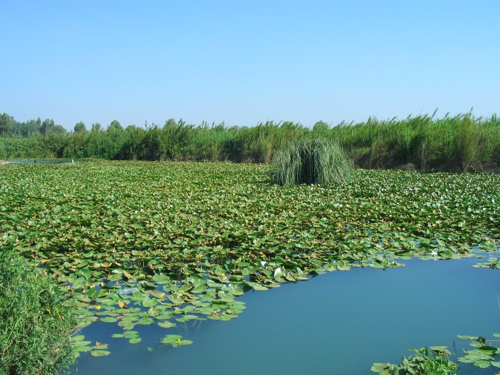 Yarkon National Park – Yarkon Sources area