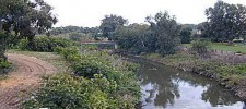 Alexander Stream National Park – Bet Yanai Beach